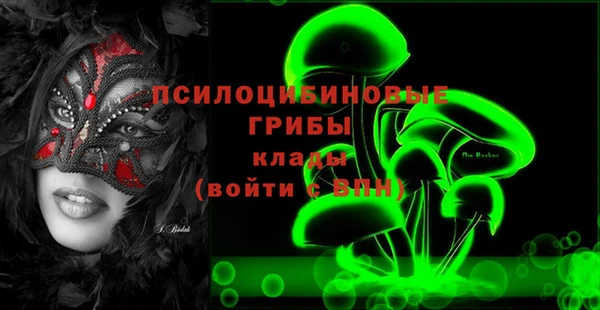 эйфоретик Елизово