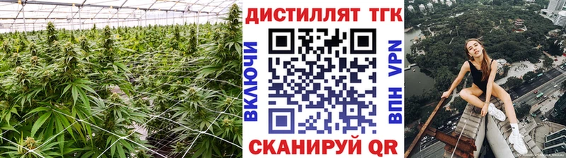 Дистиллят ТГК THC oil Калачинск